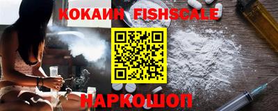 гашик Кулебаки