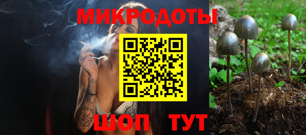 Галлюциногенные грибы Psilocybine cubensis Златоуст
