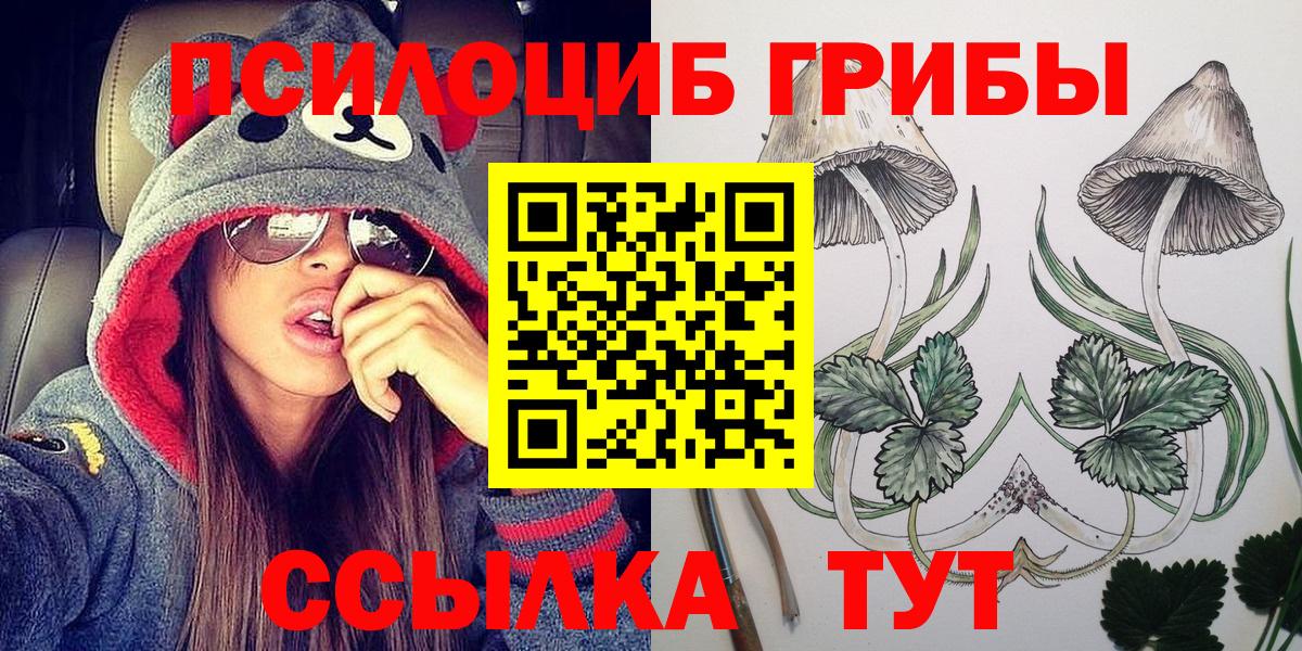 даркнет сайт  Псилоцибиновые грибы Psilocybine cubensis  Вход с VPN  Златоуст 